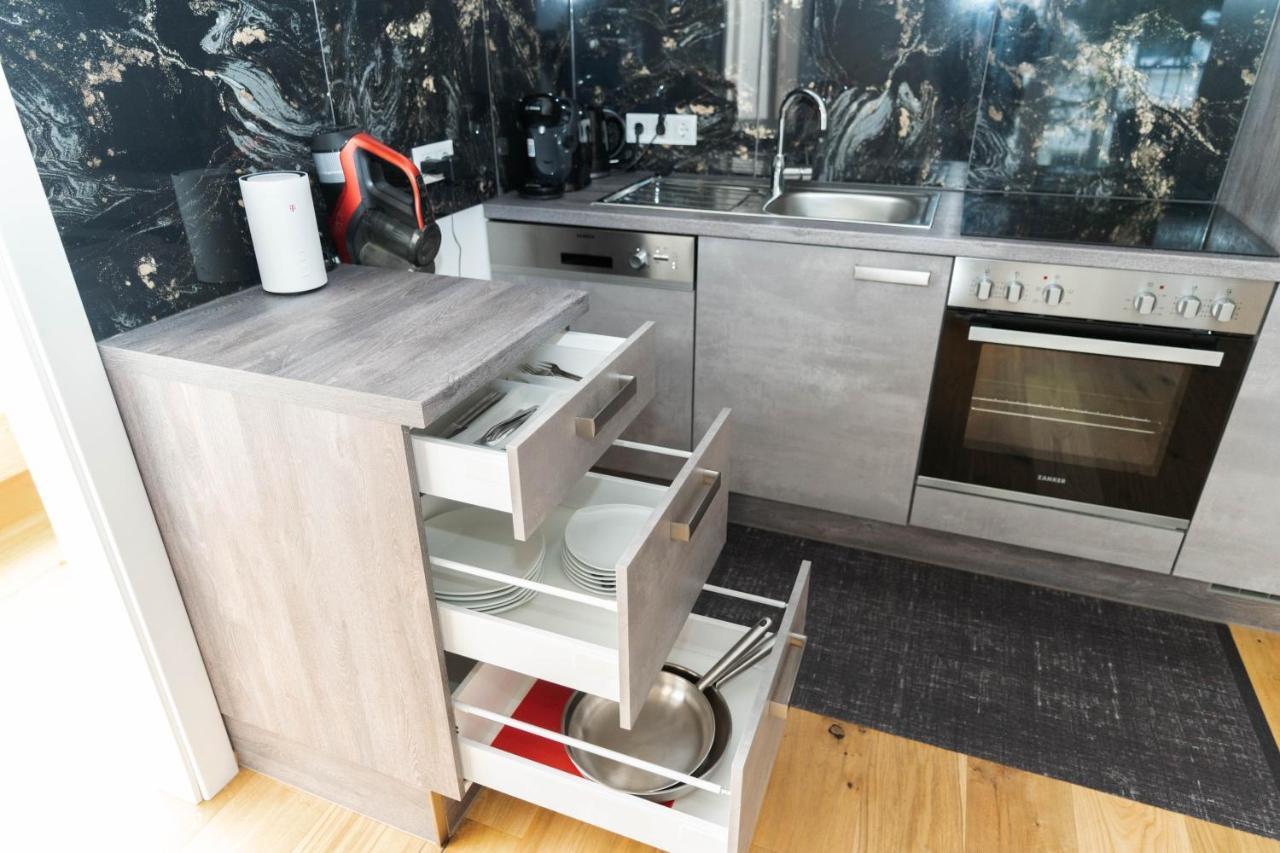 Luxurious Apartment With Big Balcony Near City Center 维也纳 外观 照片
